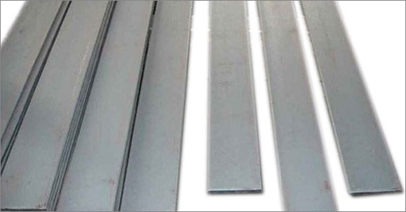 Stainless Steel Strips