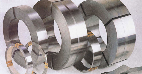 Stainless Steel Strips