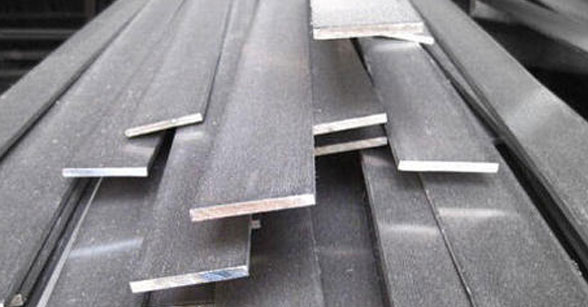 Stainless Steel Strips