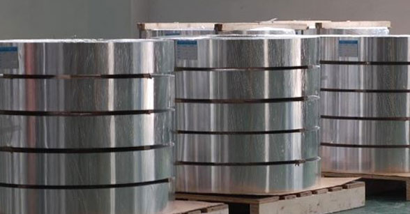 Stainless Steel Strips