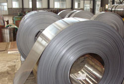 SS Strip used in Boiler Furnace Part Plant