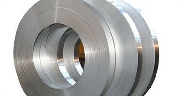 Stainless Steel Strips